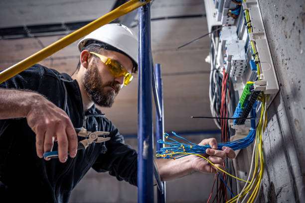 Best Ceiling Fan Installation Electrician  in Johnsburg, IL