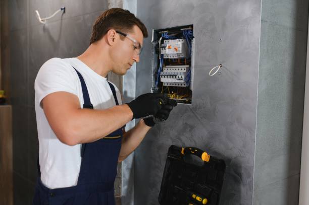 Best Electrical Troubleshooting Services  in Johnsburg, IL