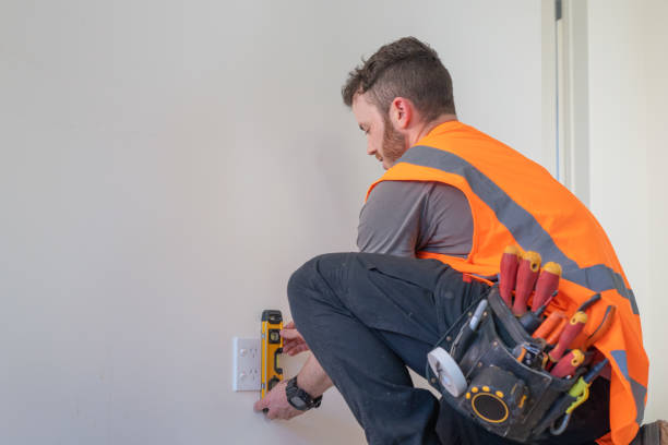 Best Generator Installation Services  in Johnsburg, IL